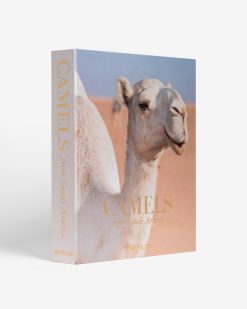 Assouline Chameaux D'Arabie Saoudite | Voyage